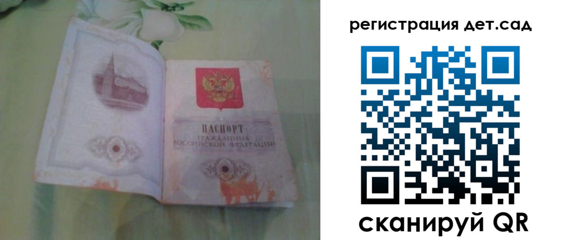 прописка гарантия в Королёве